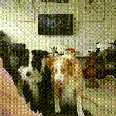 얘들아-사진찍자.gif