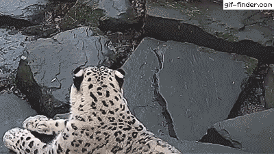 몰카 발견.gif
