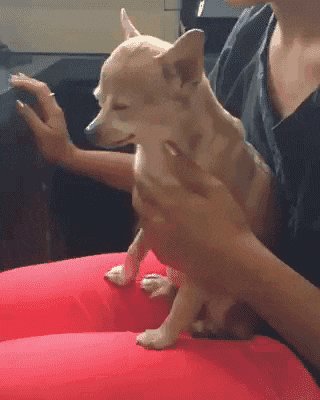 오빠 가슴좀 만져줘...계속...응....gif