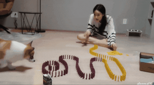 환장하는 bj녀.gif