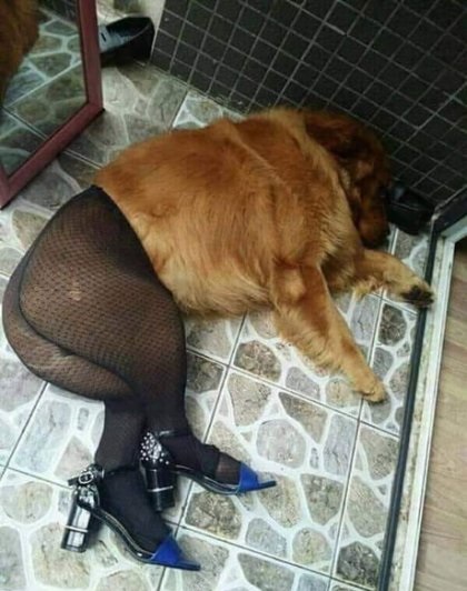 술먹고 개된 누나!.jpg